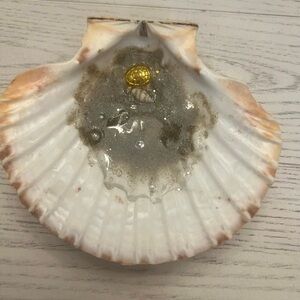 Decorative Seashell with Real Sand and Sea Accents
